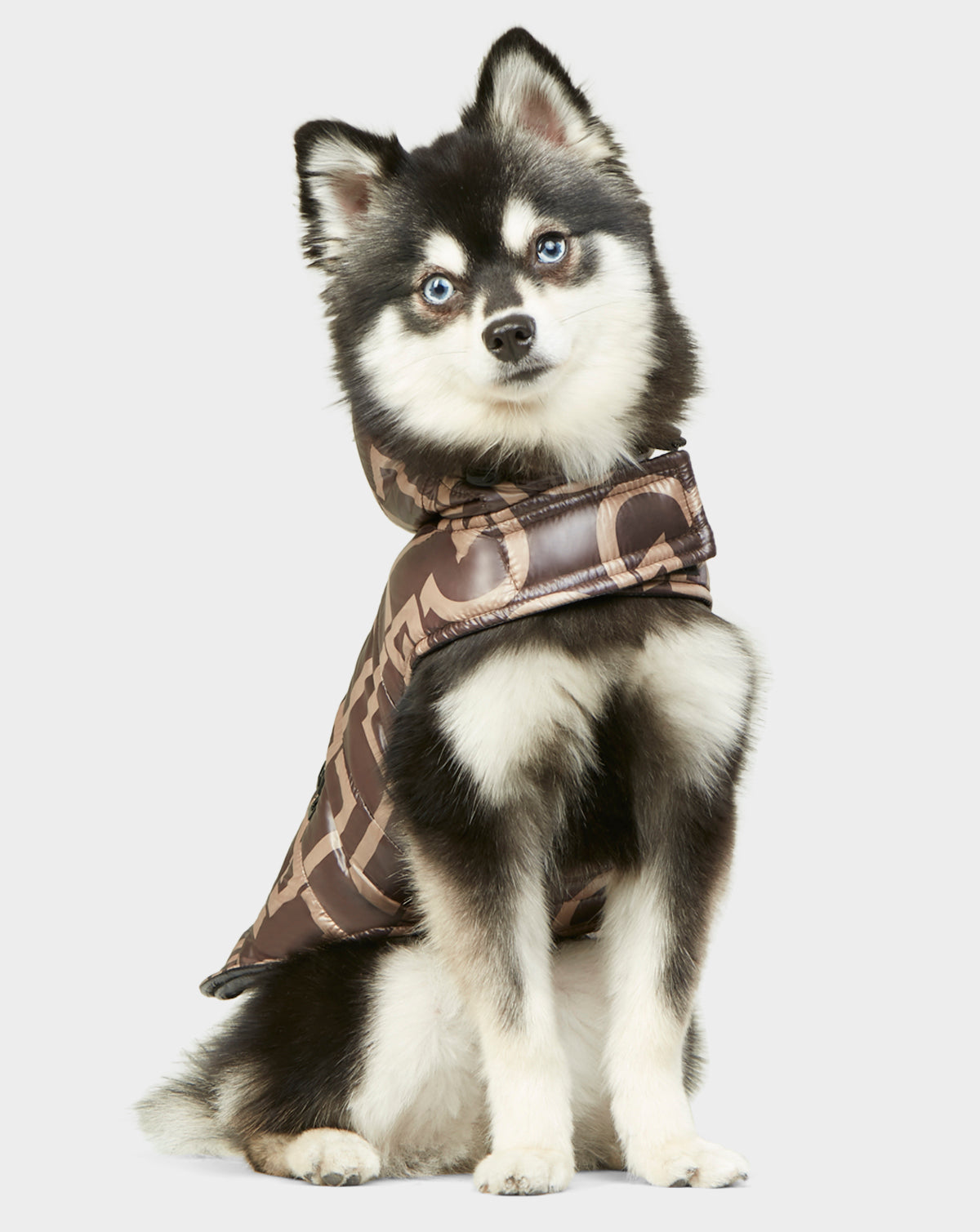 Buddie - 9122520 Rudsak Print