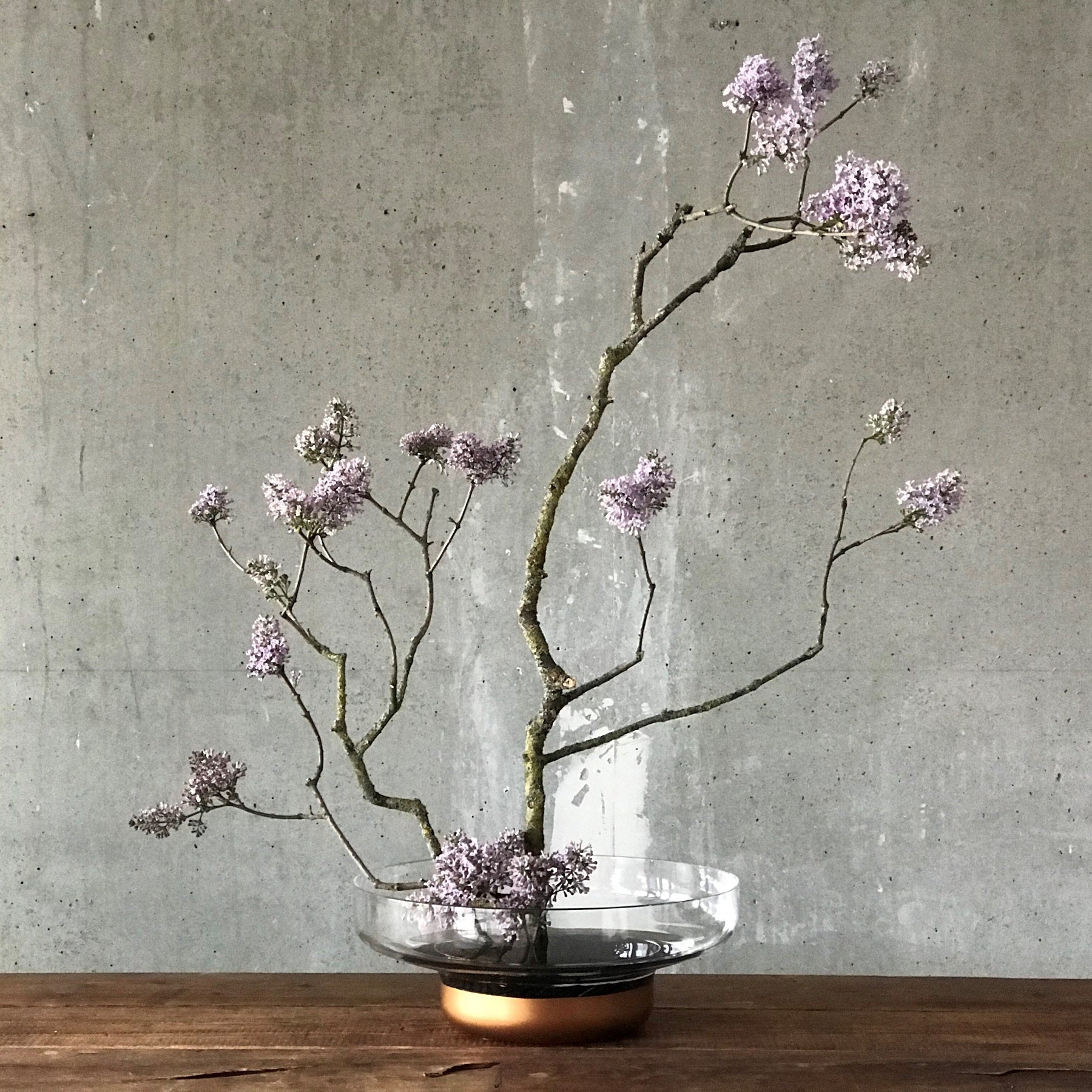 Contour Bowl Copper Base - Wide | Clear Crystal/Copper