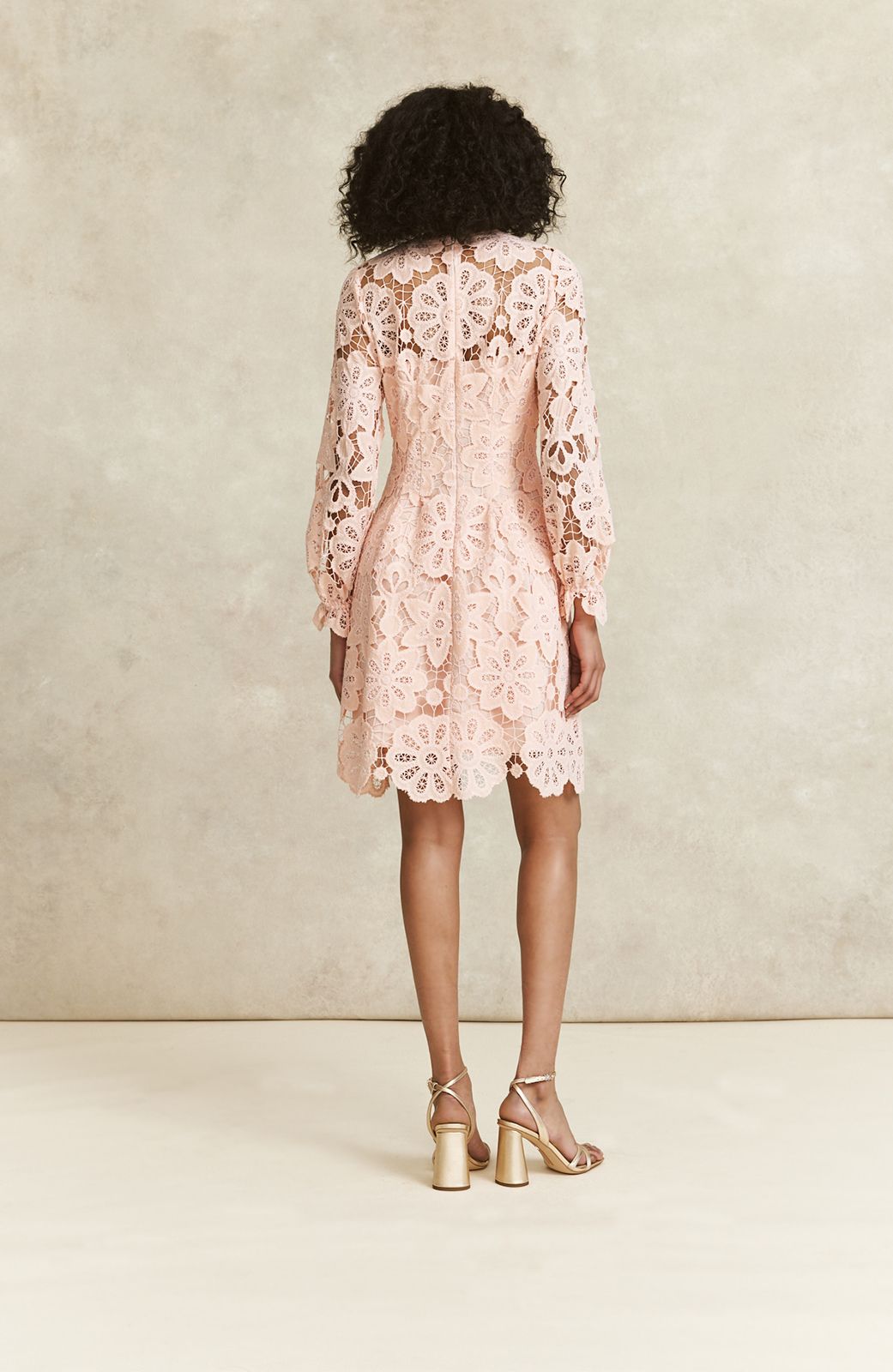 Floral Lace A-Line Dress | Blush
