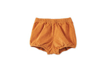Unisex | Organic Cotton Velvet Bloomers | Raw Sienna
