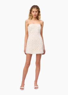 Yareli Crochet Mini Dress | Macadamia