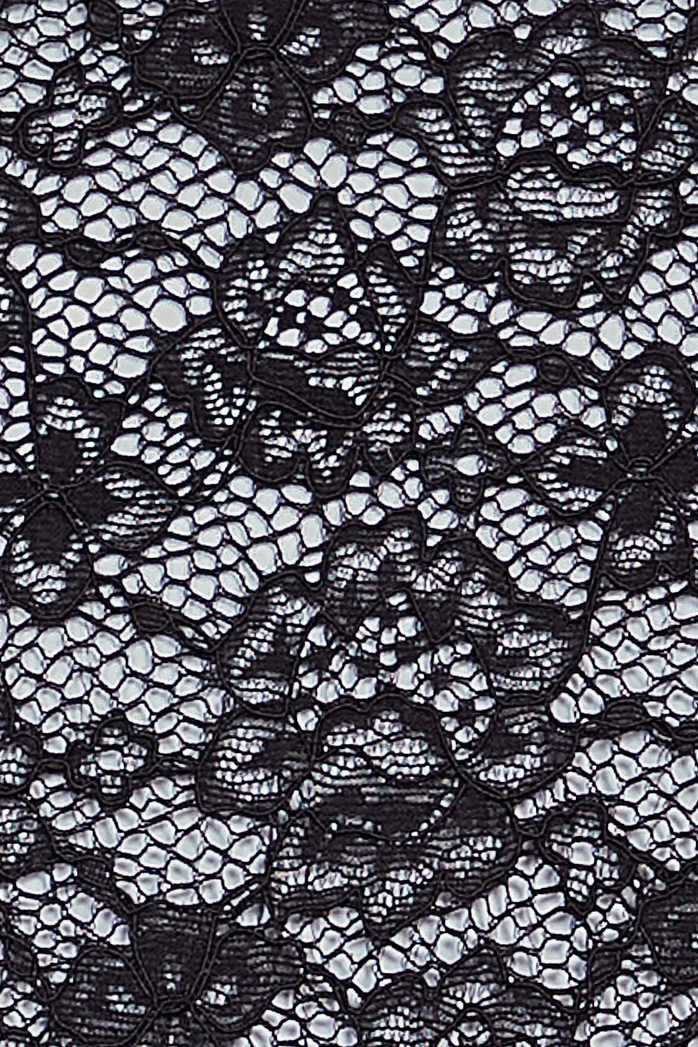 Lace Lo Bottom | Black Lace