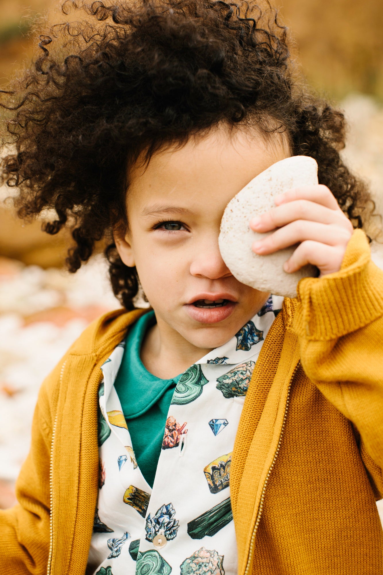 Unisex | Organic Cotton Band Collar Woven Shirt | Vild Lab No. 12 - Earth Rocks! Print