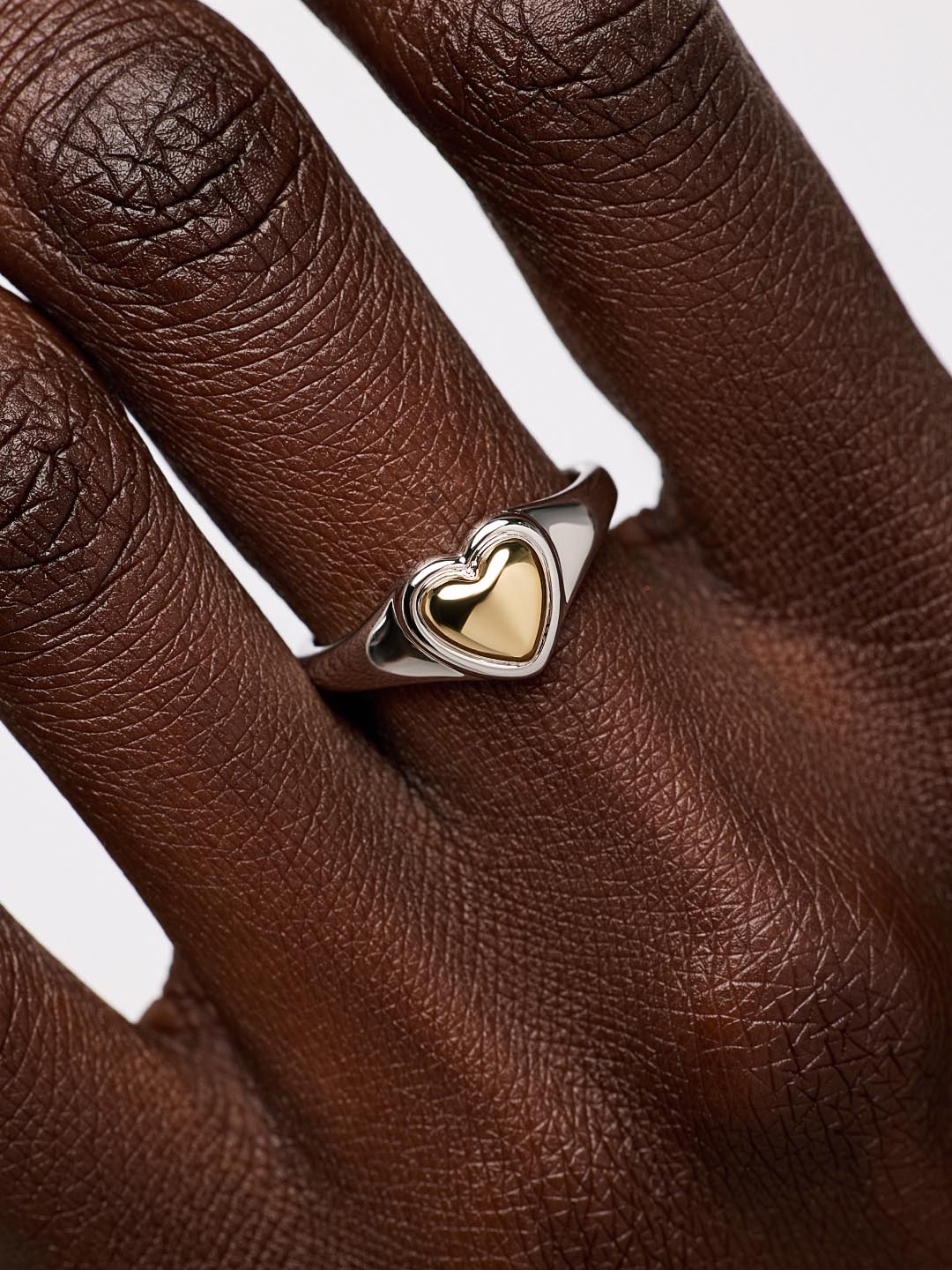Elysia Signet Ring | Rhodium on Brass/14K Gold on Brass
