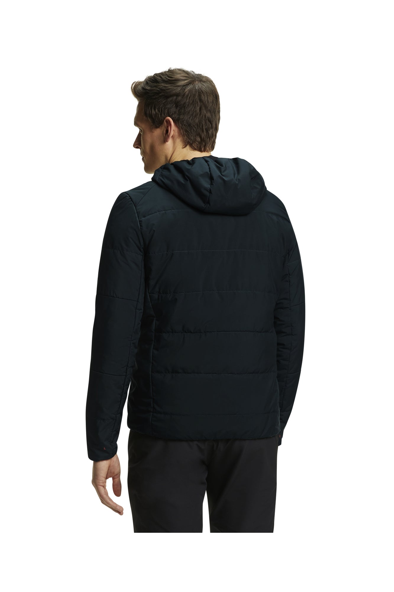 Men | TK Padded Jacket | Holly