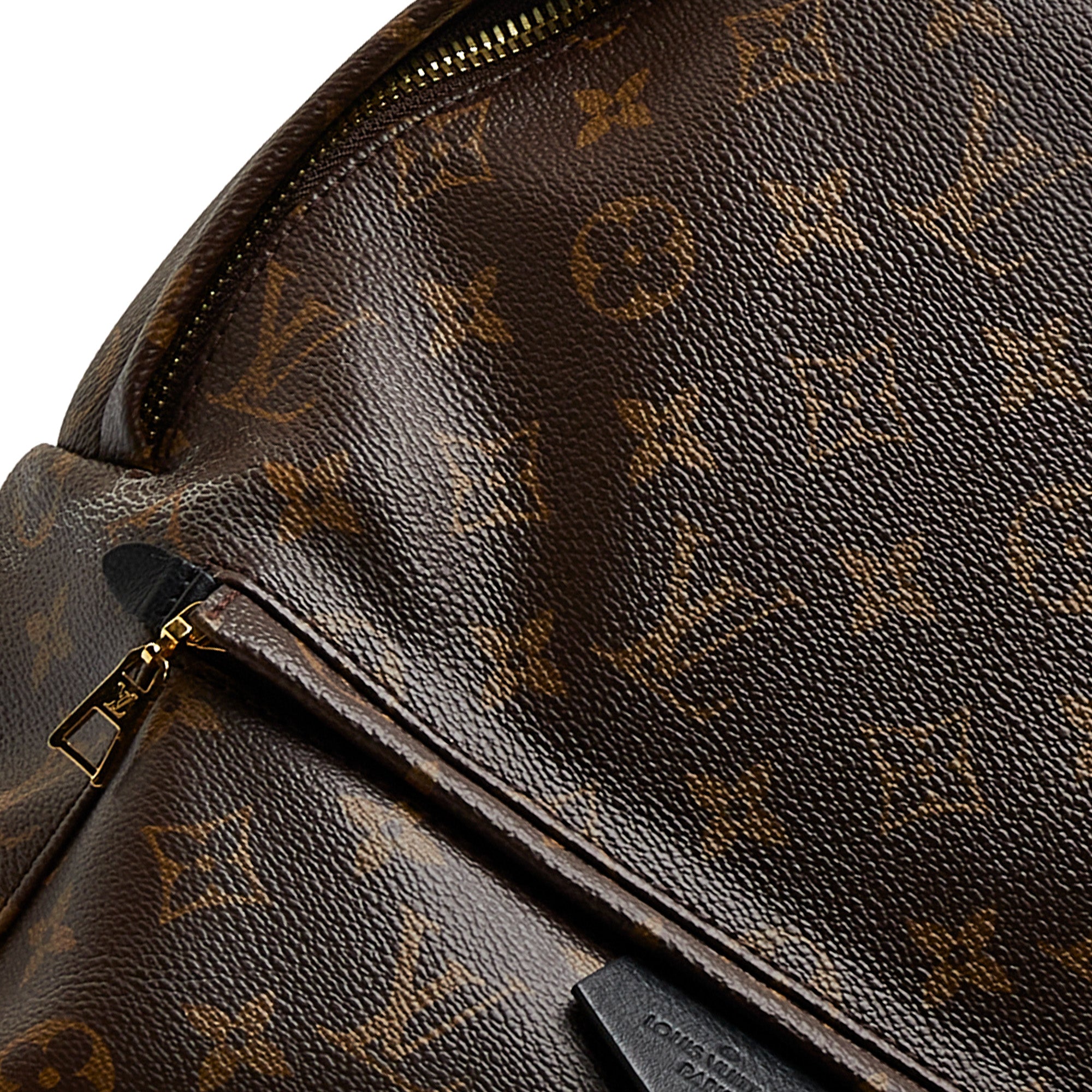 Louis Vuitton | Pre-Owned Monogram Palm Springs MM | Brown