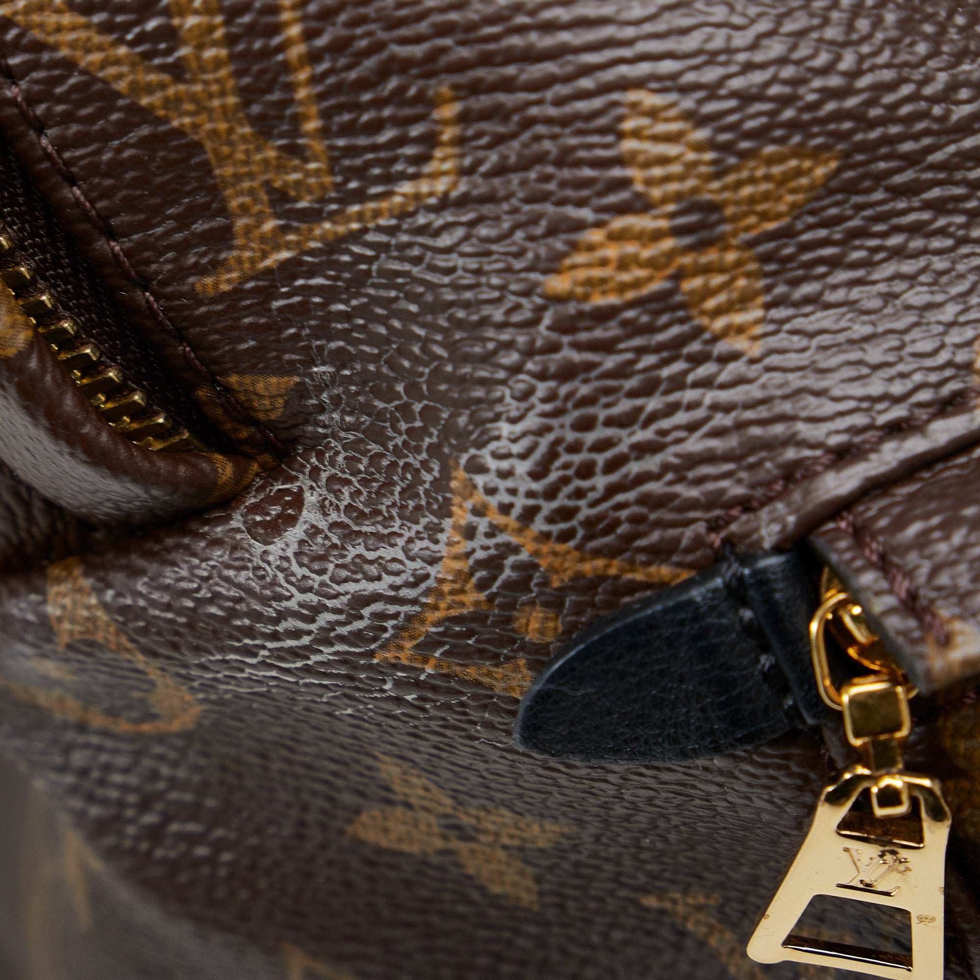 Louis Vuitton | Pre-Owned Monogram Palm Springs MM | Brown