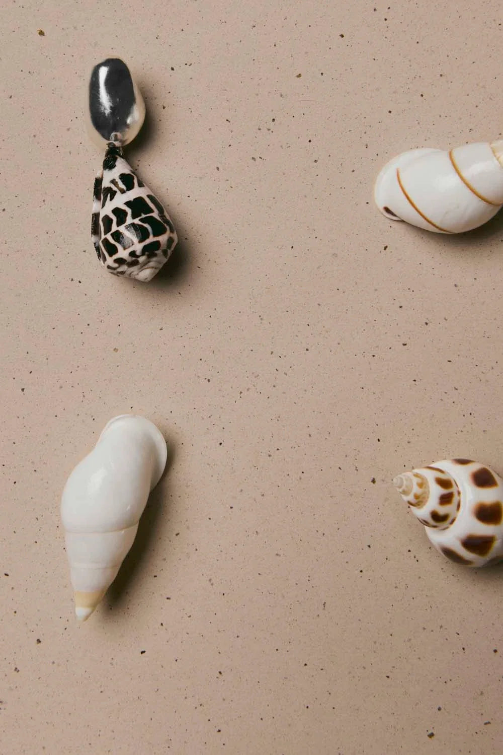 Nassa Earrings | Silver