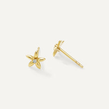 Womens | 0.02 CT Round Cut Lab Grown Accent Diamond | 5 Petal Star Stud Earrings | 14K Yellow Gold Plated Silver | G-SI