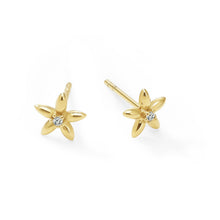 Womens | 0.02 CT Round Cut Lab Grown Accent Diamond | 5 Petal Star Stud Earrings | 14K Yellow Gold Plated Silver | G-SI