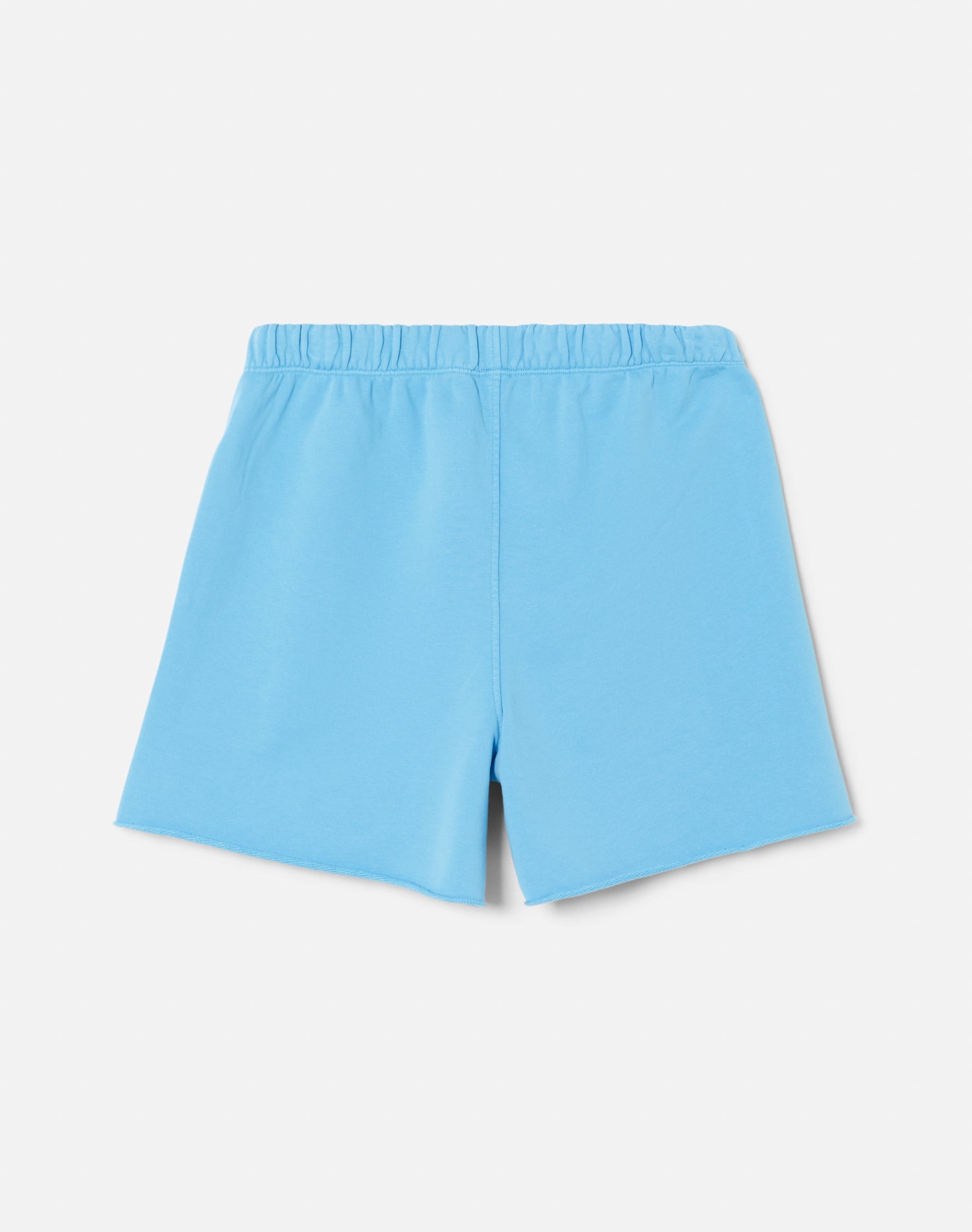 Hanes Boy Sweatshort | Carolina Blue