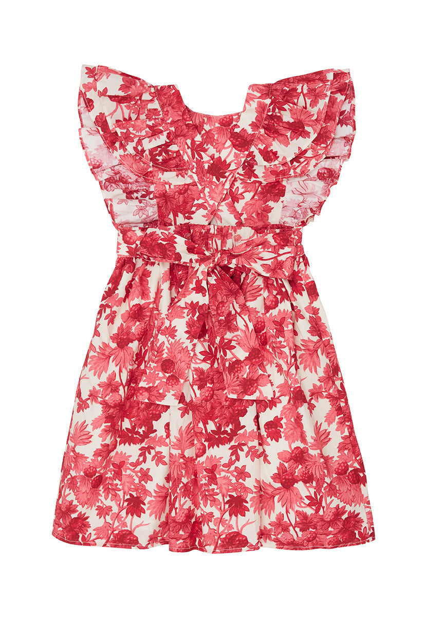 Girl | Sage Dress | Berries Pink