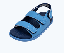 Angled view of a Native Shoes Kids Frankie Sugarlite Kids | Resting Blue/ Regatta Blue/ Resting Blue Footwear