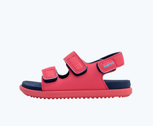 Kids | Frankie Sugarlite Kids (C4-C10) | Dazzle Pink / Regatta Blue / Dazzle Pink