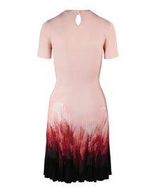 Alexander McQueen | Ombré Print Knit Dress