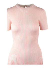 Alexander McQueen | Ombré Print Knit Dress