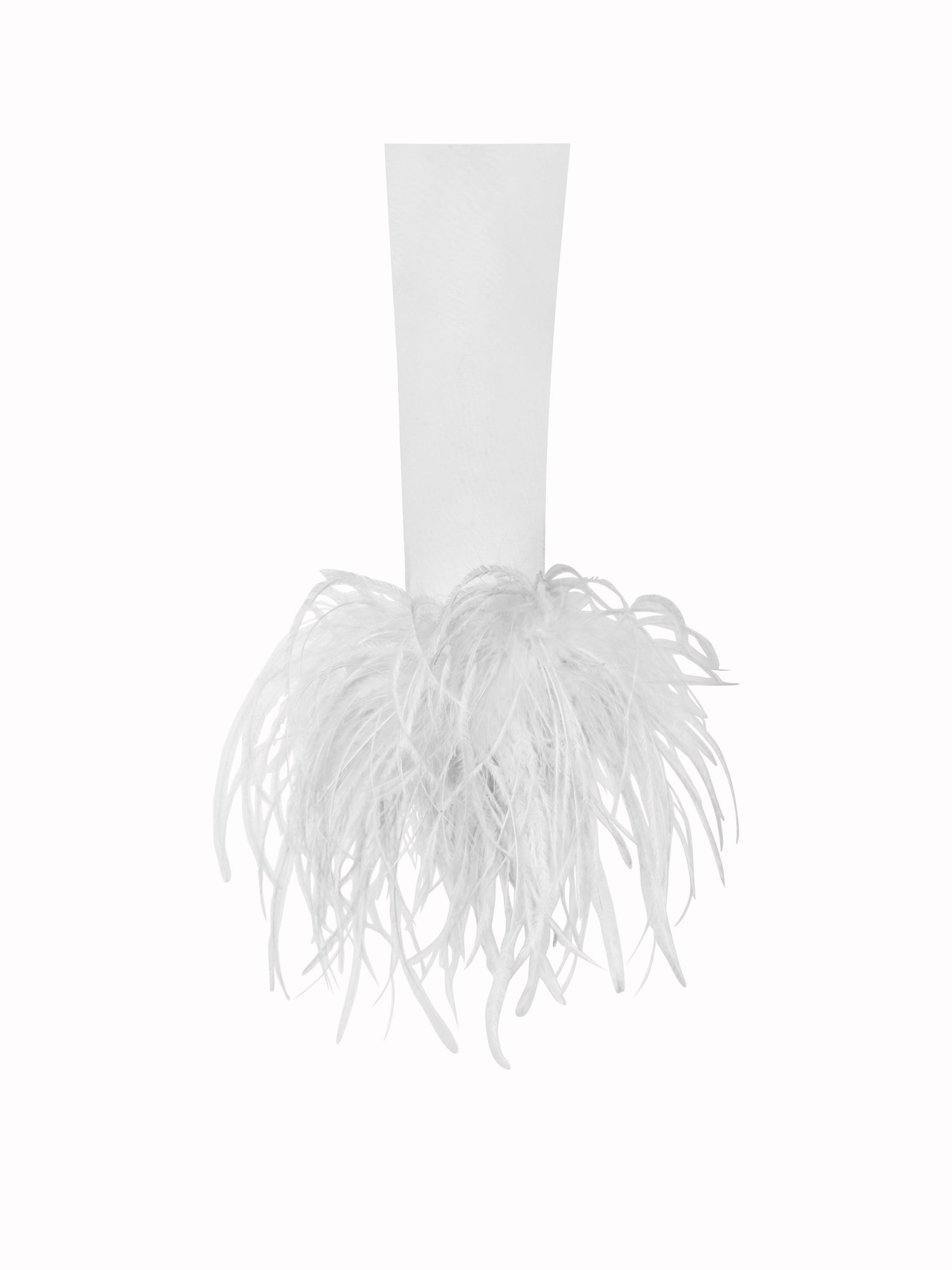 Oaklie Satin Mesh Sleeve Dress With Feathers | White