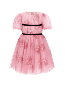 Girls | Tulle And Rose Dress | FairyTale Pink