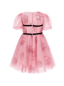Girls | Tulle And Rose Dress | FairyTale Pink