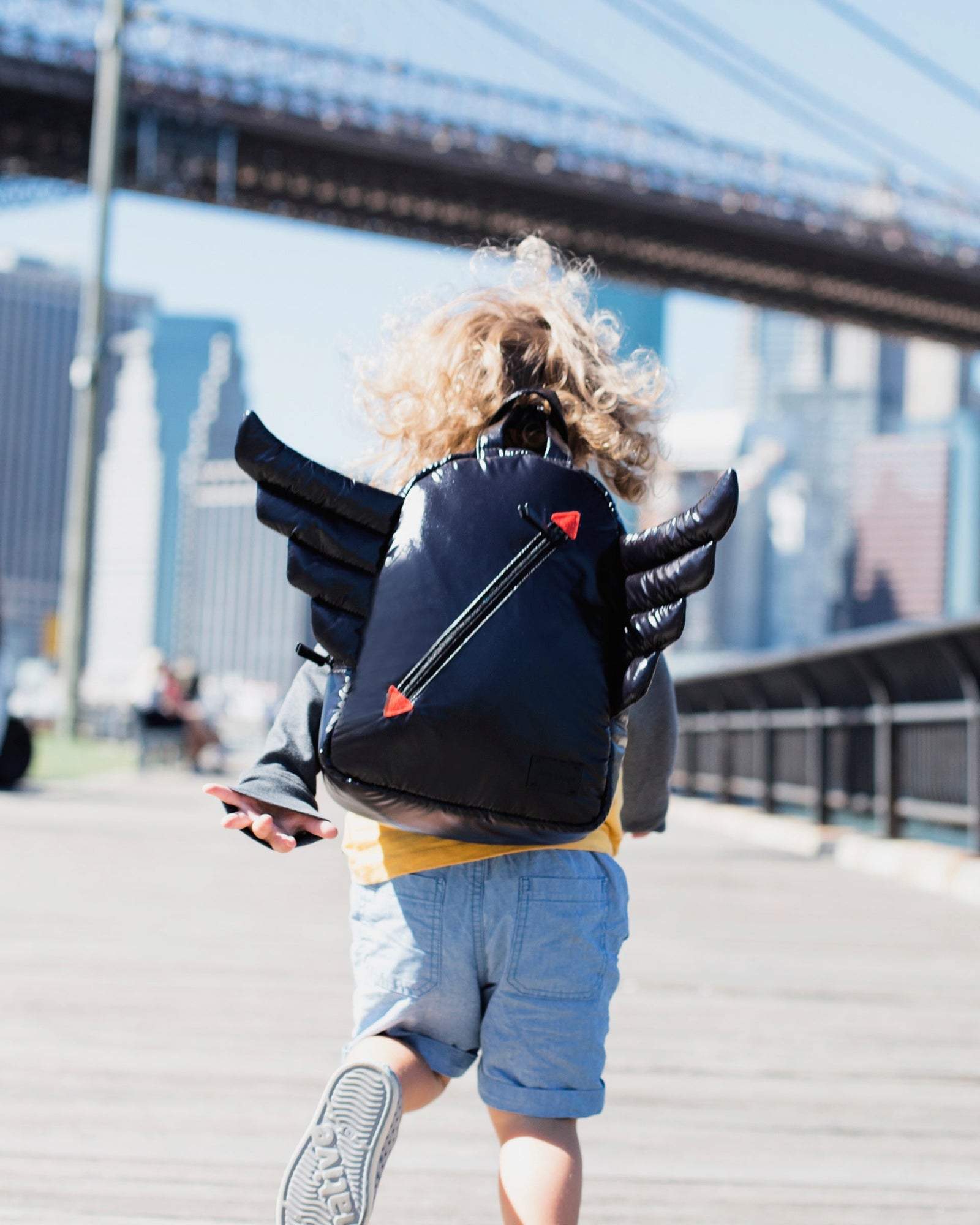 Wings Backpack Wings Backpack