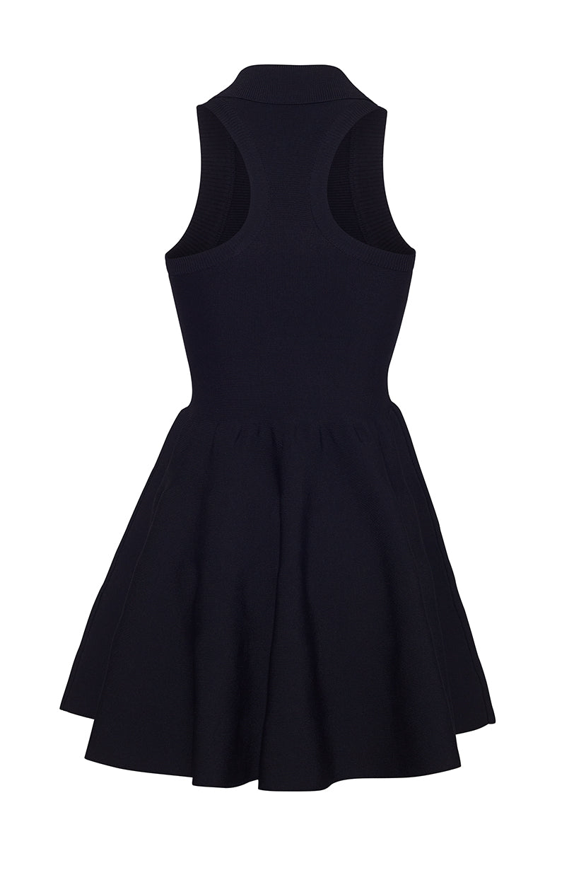 alexander wang fit and flare mini dress Braylee Mini Dress