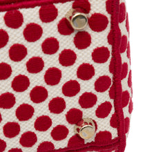 Dior | Pre-Owned Medium Embroidered Canvas DiorAmour Dots Lady D Lite | Red