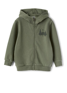 Boys | Hoodie | Fir Green