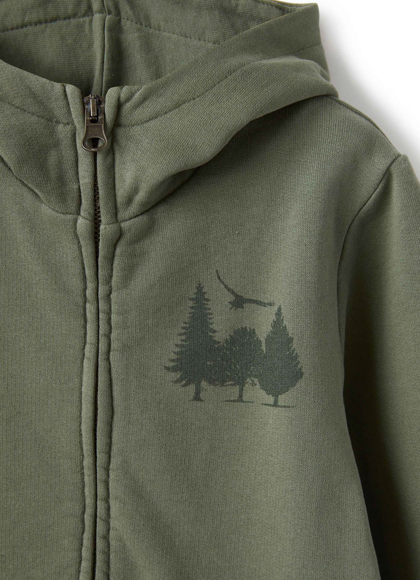 Boys | Hoodie | Fir Green