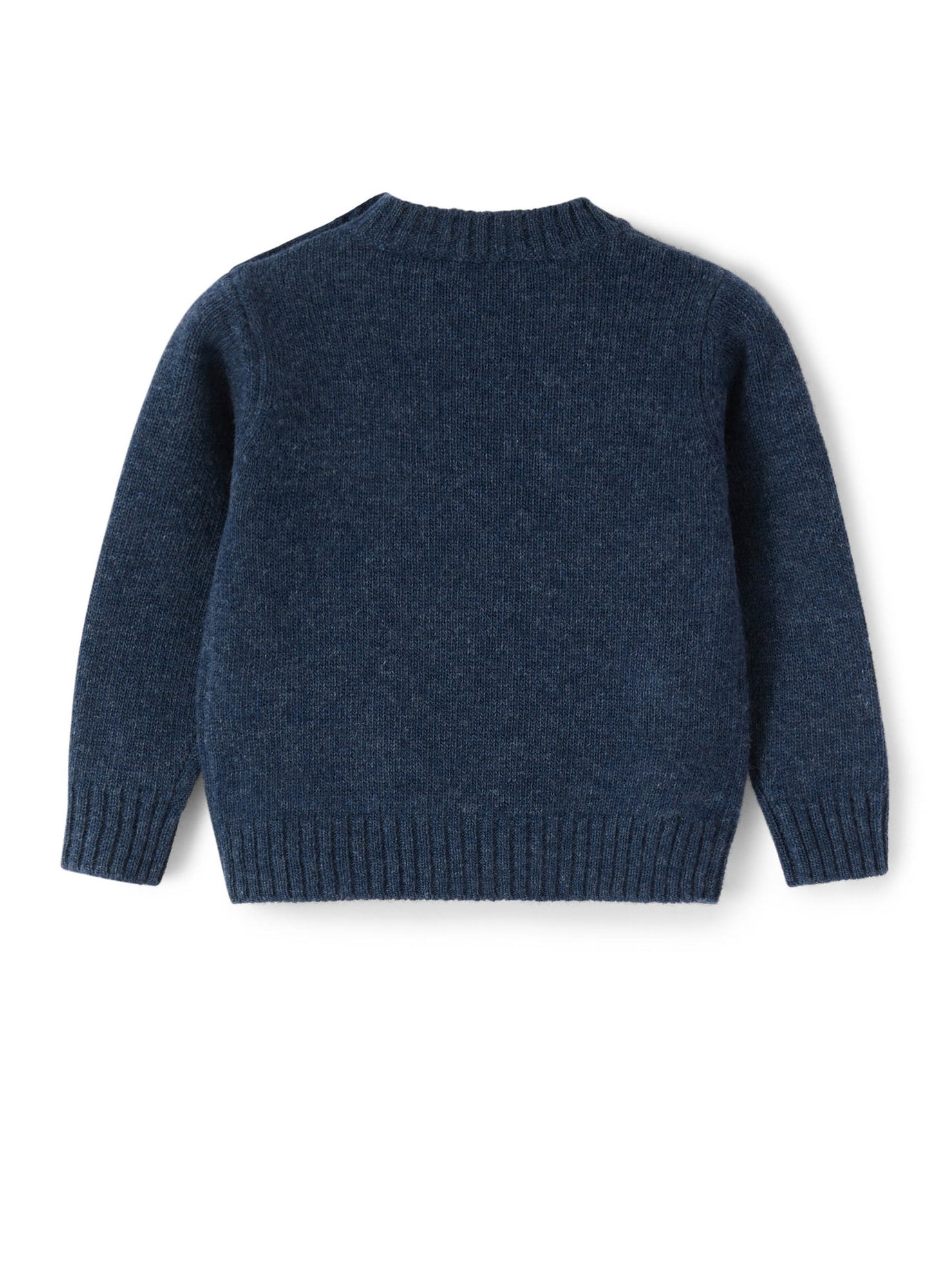 Boys | Wool Sweater with Squirrel | Mirtillo Abete Argenteo