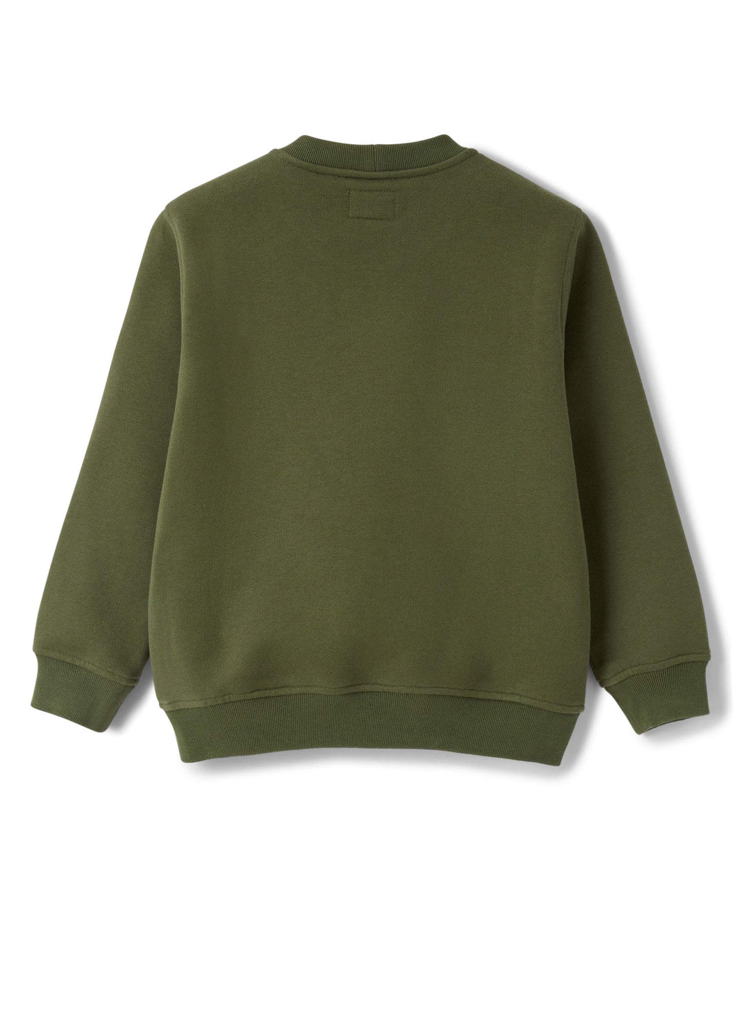 Boys | Sweatshirt with Rubberised Print | Abete Argenteo Verdecorteccia