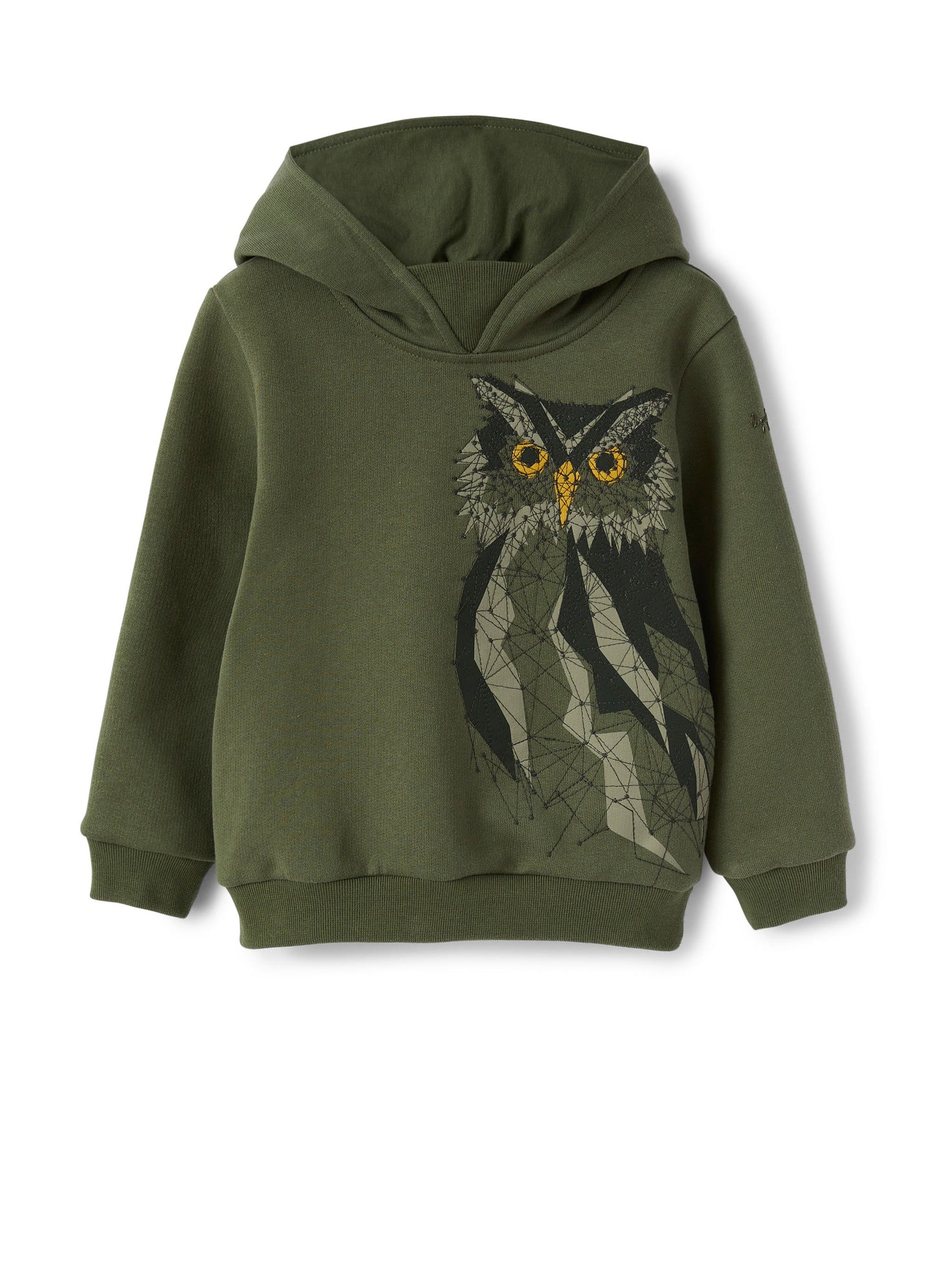 Boys | Sweatshirt with Hood and Gufo Print | Abete Argenteo Verdecorteccia
