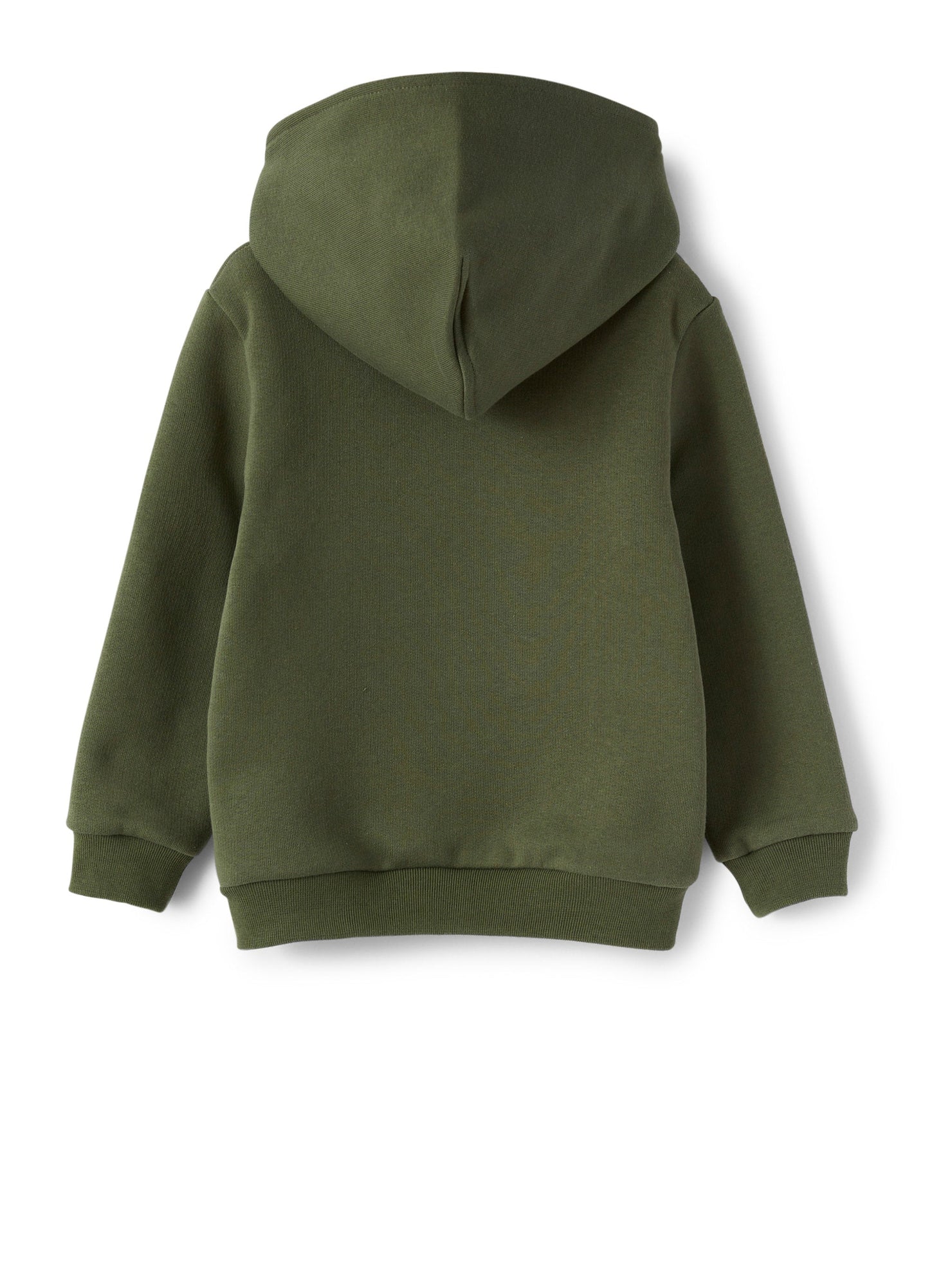 Boys | Sweatshirt with Hood and Gufo Print | Abete Argenteo Verdecorteccia