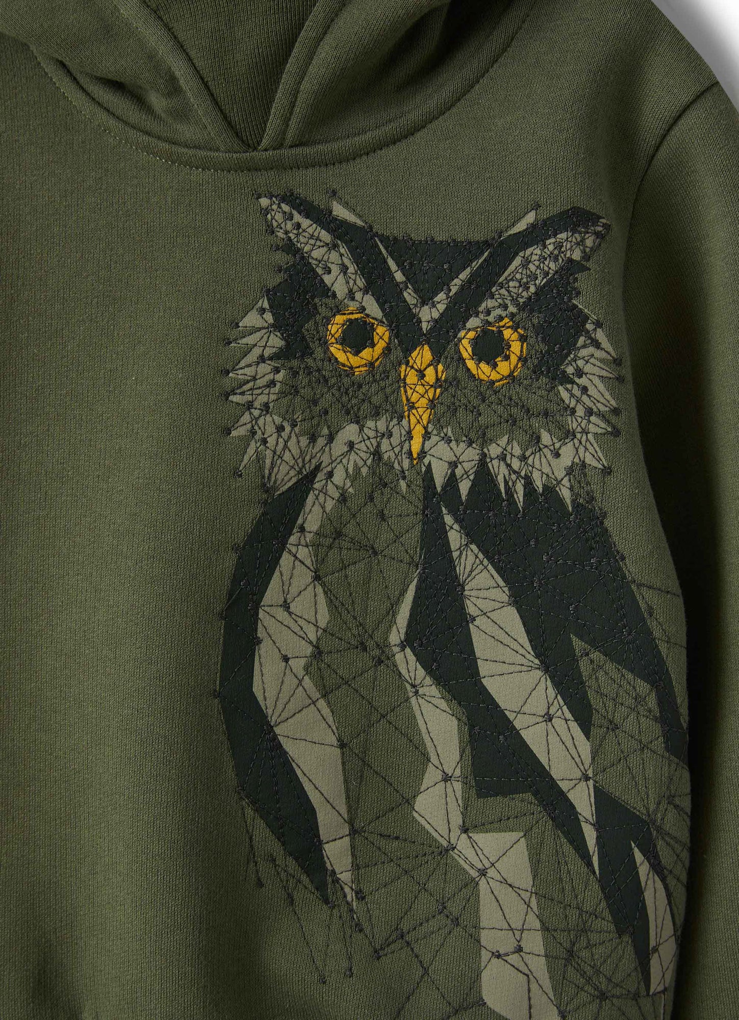 Boys | Sweatshirt with Hood and Gufo Print | Abete Argenteo Verdecorteccia