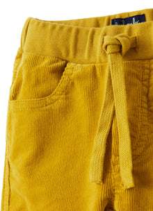 Baby Boys | Velvet Trousers | Lichene
