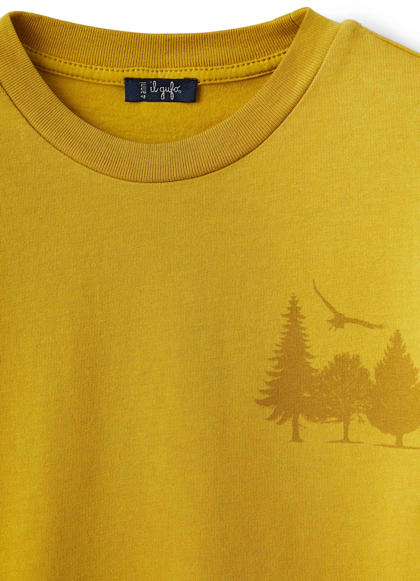 Boys | Cotton T-Shirt with Print | Lichene