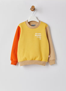 Color-Block Crew Neck Sweatshirt | Yellow/Nut