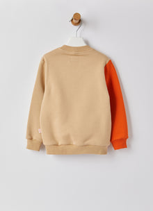 Color-Block Crew Neck Sweatshirt | Yellow/Nut