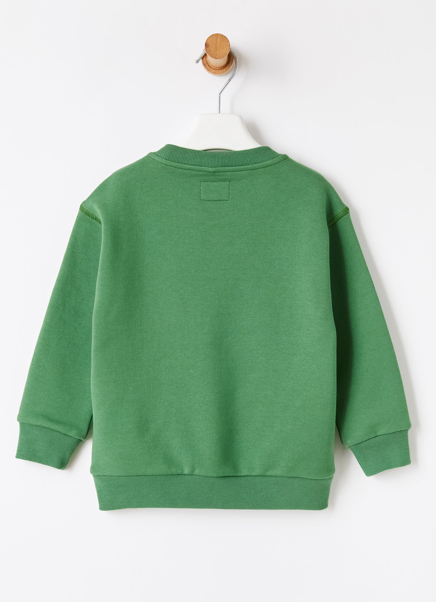 Sky Watcher Print Sweatshirt | Verde Drago/Verde