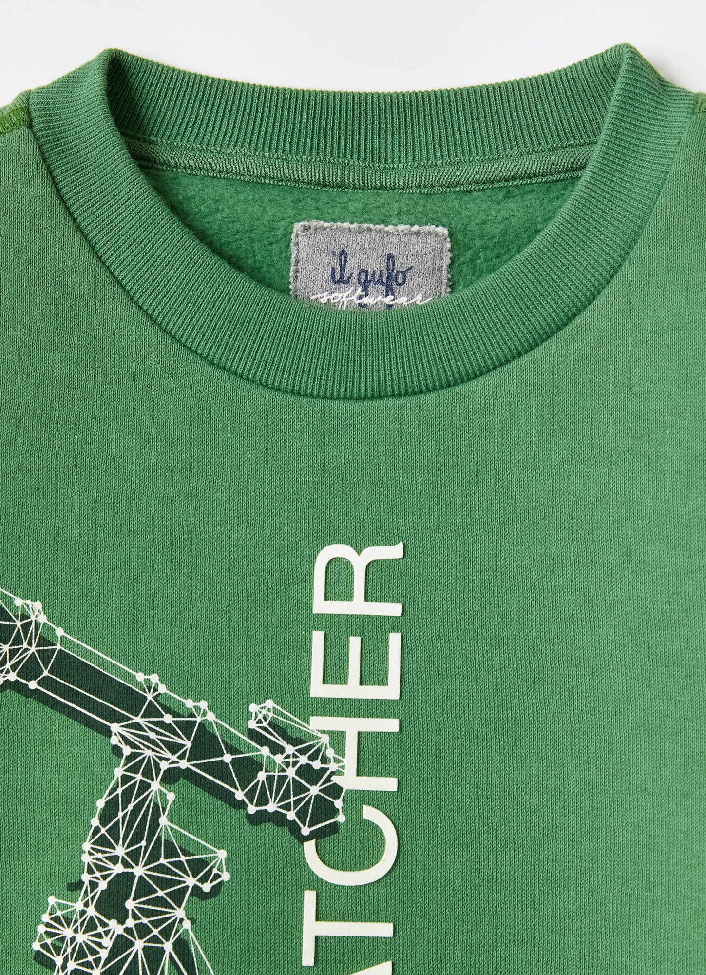 Sky Watcher Print Sweatshirt | Verde Drago/Verde