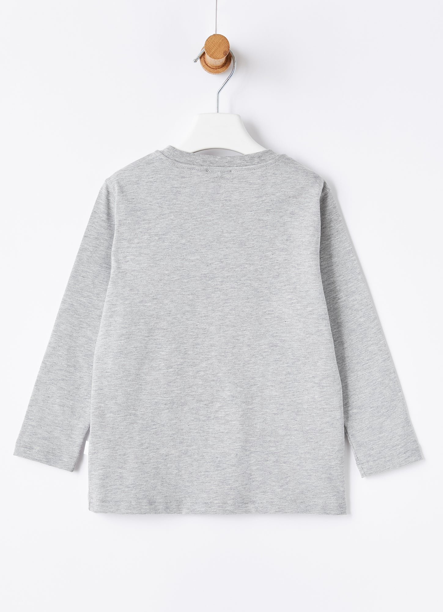 Penguin Print And Embroidery T-Shirt | Grey/Asphalt Grey