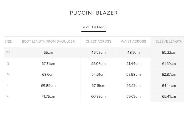 Mens | Puccini Blazer | Grey