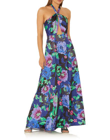 Zandra Maxi Dress | Midnight Bouquet