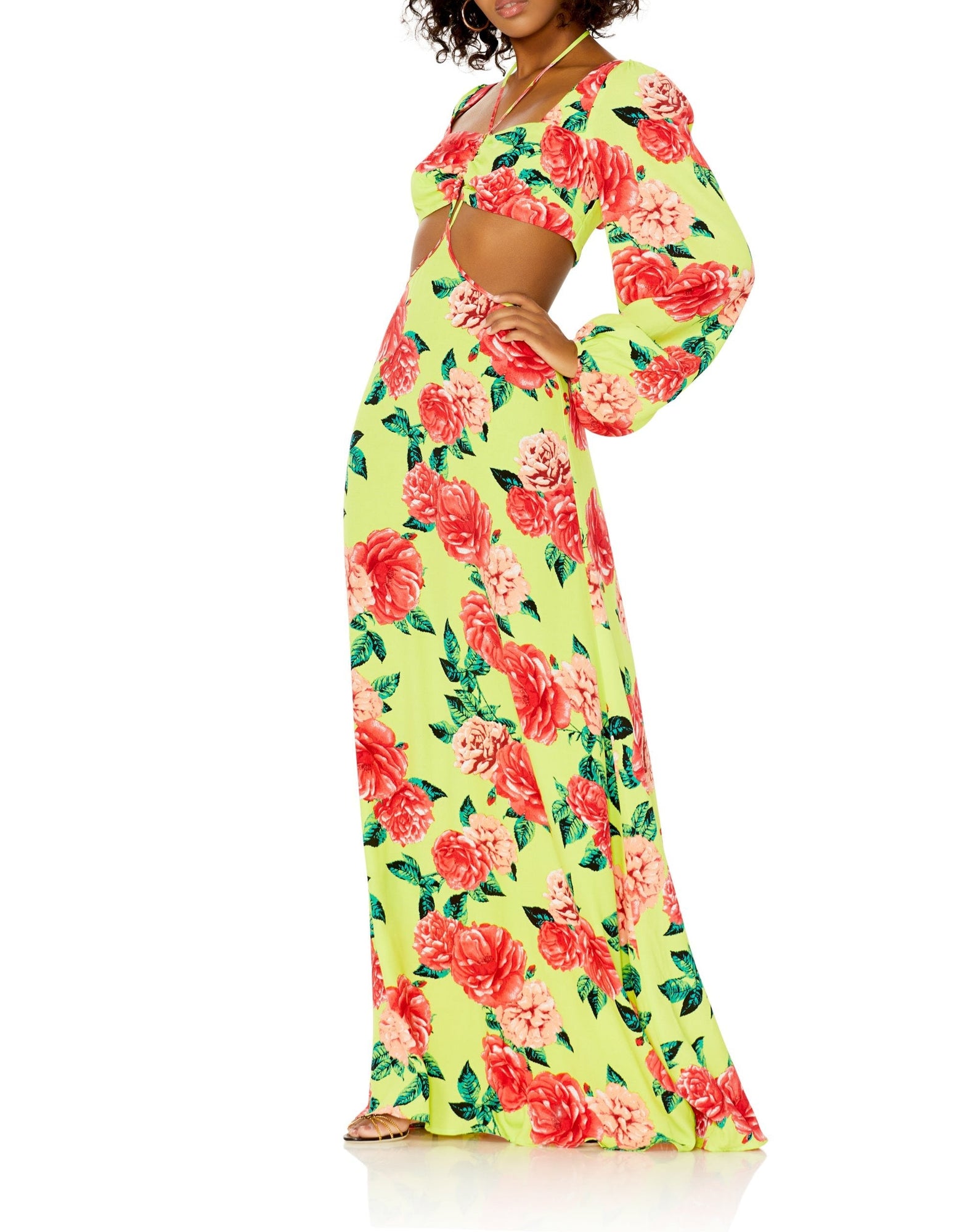 Bekah Maxi Dress | Lime Rose Garden