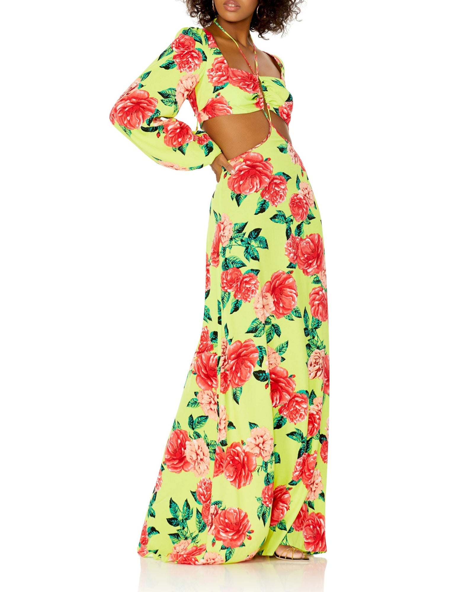 Bekah Maxi Dress | Lime Rose Garden