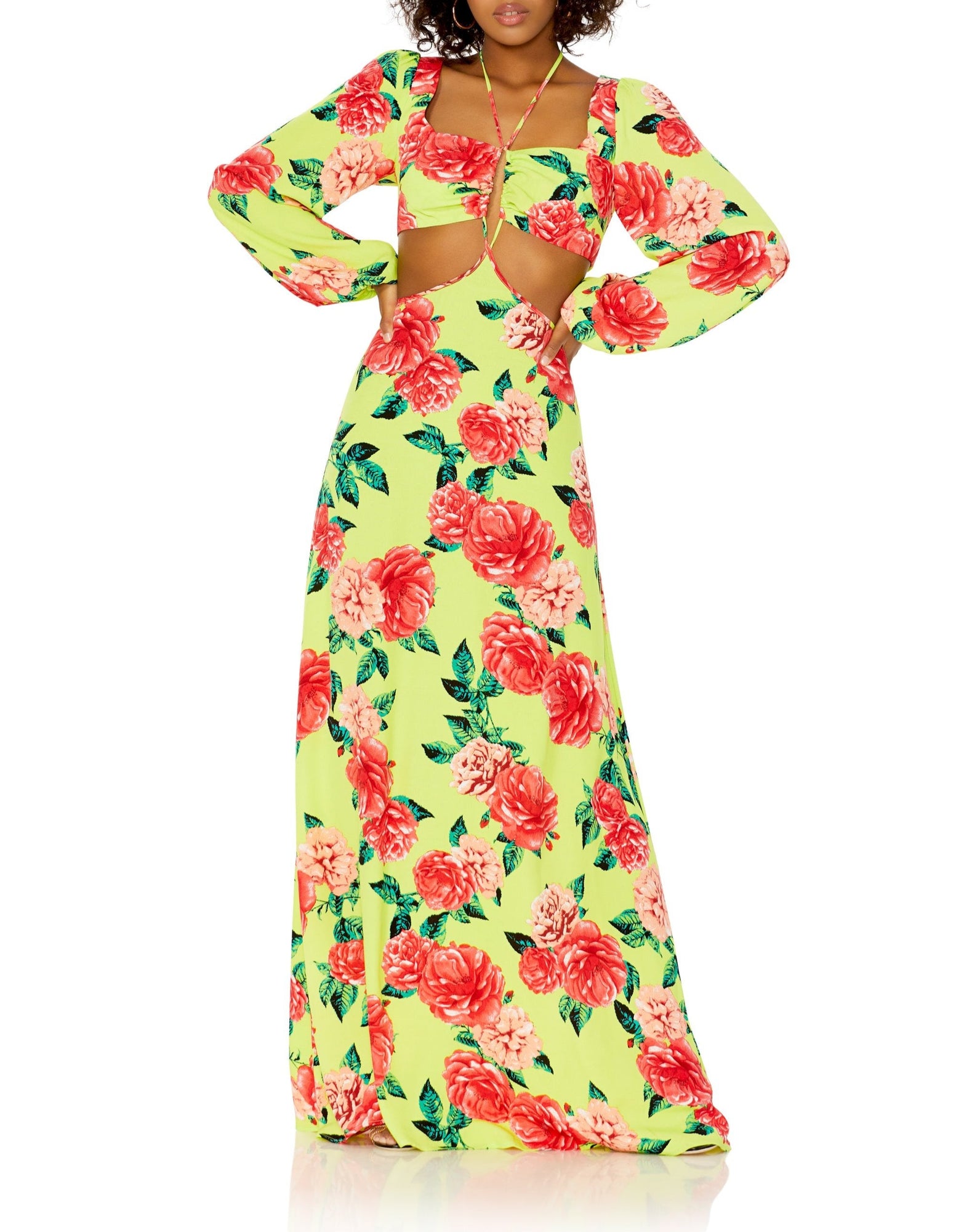 Bekah Maxi Dress | Lime Rose Garden