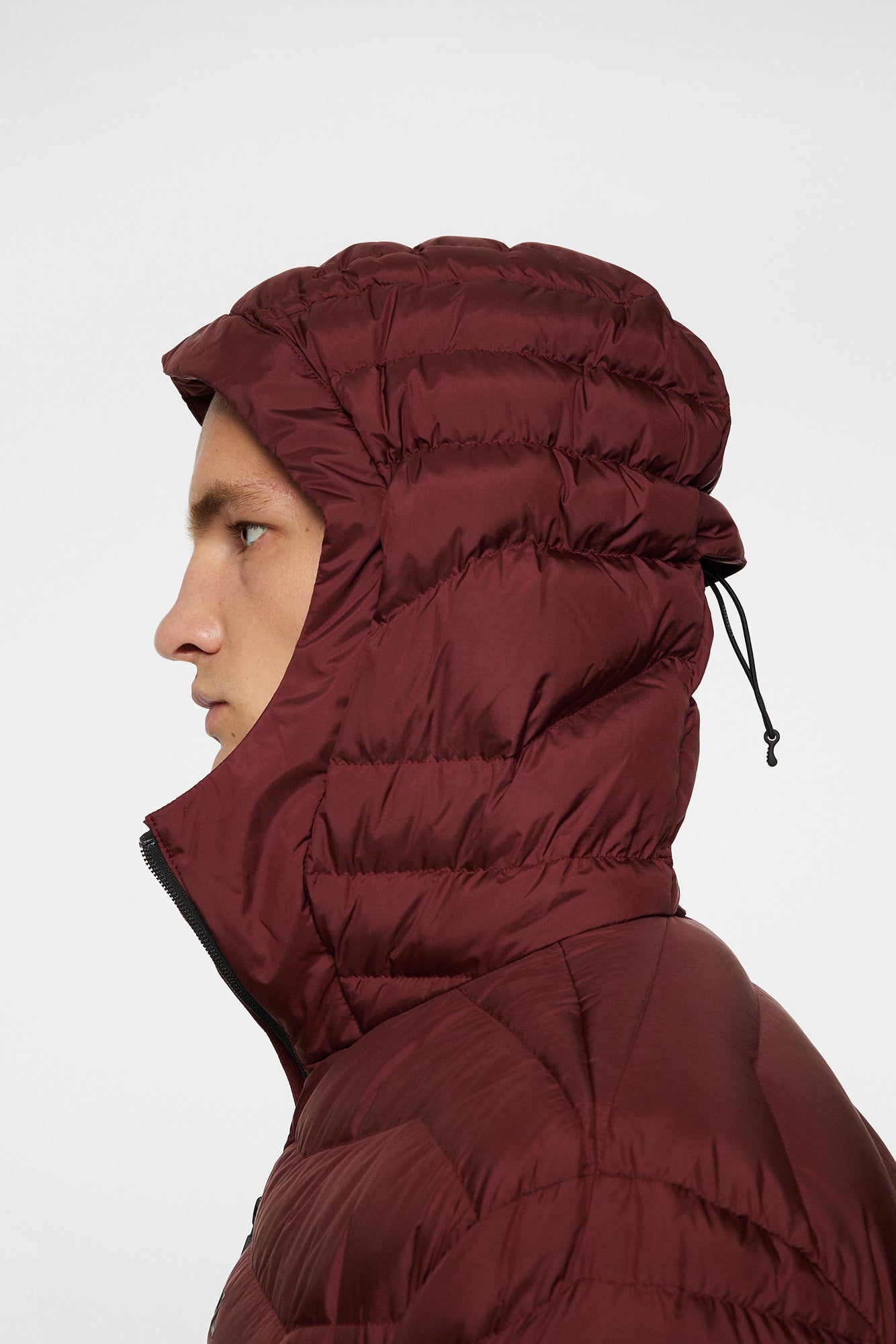 Men | Cliff Light Down Hood | Cabernet
