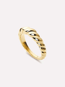Ana Luisa Jewelry Rings Gold Twist Ring Rope Slim