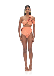 Kiara High Rise Bikini Top | Apricot