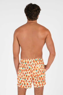 Men | Swim Shorts | Bonita