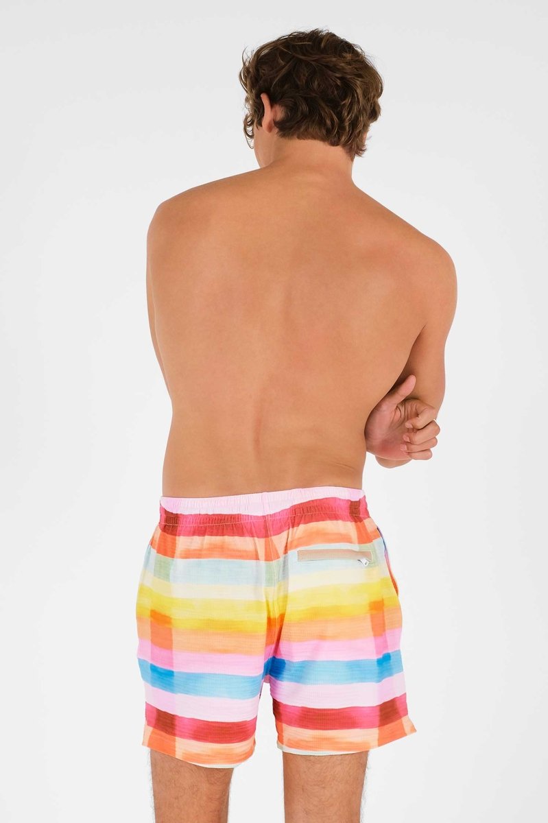 Men | Swim Shorts | Day Trippin'